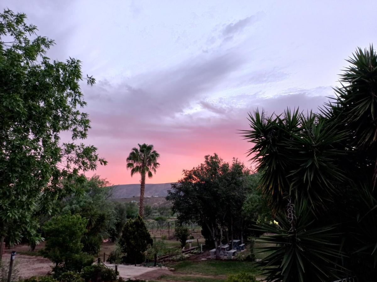 Karoo Life B&B 卡利茨多普 外观 照片