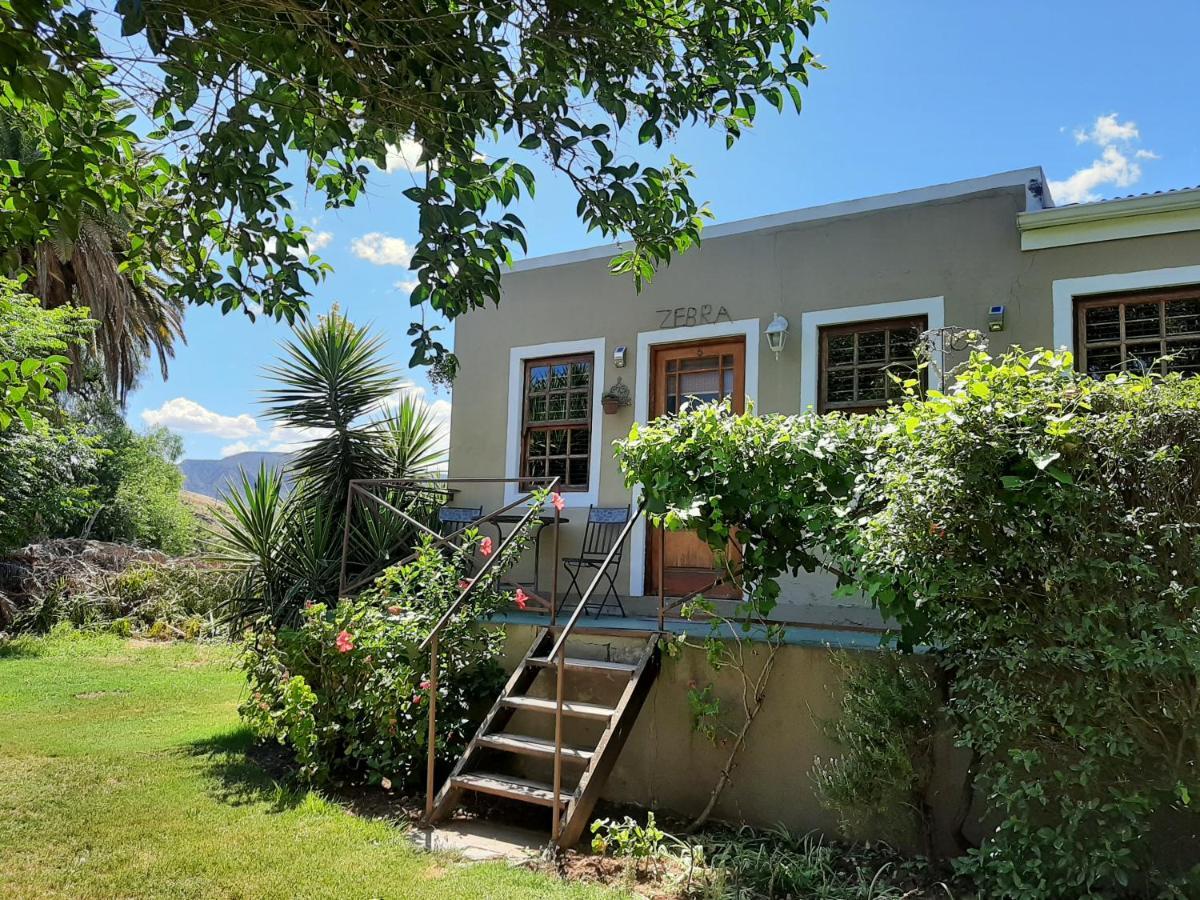 Karoo Life B&B 卡利茨多普 外观 照片