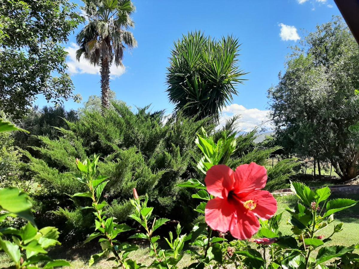 Karoo Life B&B 卡利茨多普 外观 照片